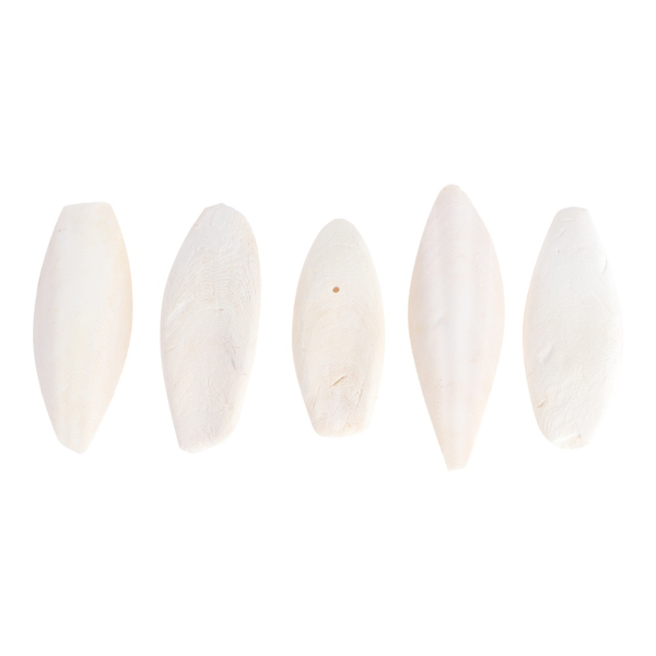 

other bird supplies 6pcs pet grinding cuttlefish bone teeth chew (random color)