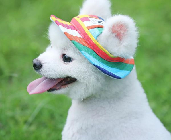 

pet dog mesh breathable sun hat princess suitable for alaska etc apparel