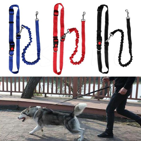 

dog collars & leashes pet dogs leash running elasticity hand y pets training products harness collar jogging lead adjustable waist rope