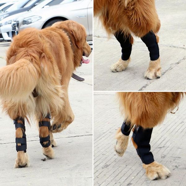 

dog bandages leg knee hock brace straps protection joint bandage wrap supplies pet band accessories cat costumes