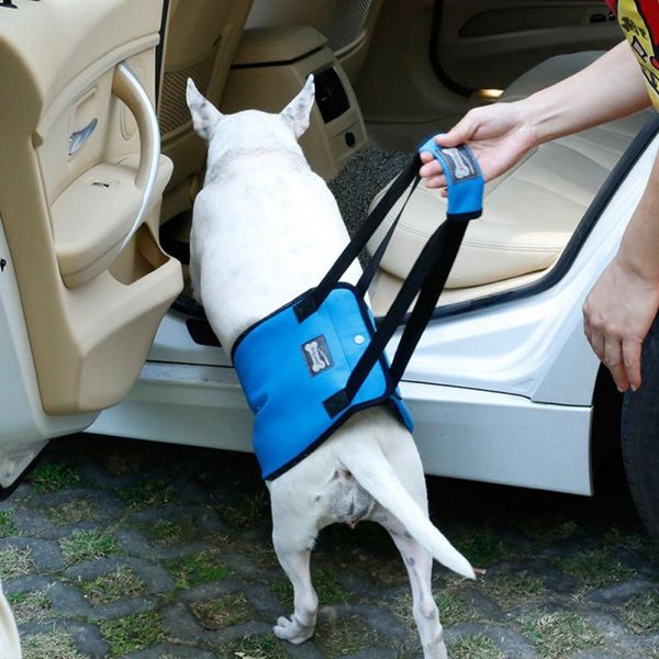 

dog collars & leashes portable sling harness for back leg hip support to help lift rear canine aid old ligament rehabilitation