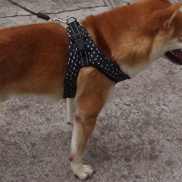 

dog collars & leashes pet harness adjustable nylon for leash reflective safe walking vest small and medium dogs accessories