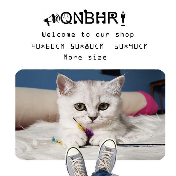 

carpets qnbhr door mat home carpet flannel absorbent anti-slip welcome animal cat c1 rug bedroom kitchen bathroom decoration