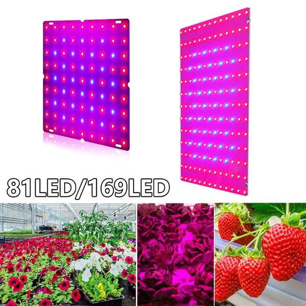 

grow light board 2000w 3000w led plant bulb full spectrum phyto lamp greenhouses indoor tent phytolamp us eu uk plug lights