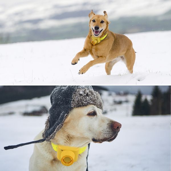 Collari Beeper per cani da caccia Collare da addestramento sportivo impermeabile con 8 suoni integrati