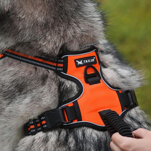 

dog collars & leashes chest harness reflective vest breathable relieve pressure mesh fabric safety for pet cat