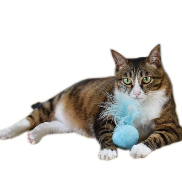 

3pcs cat interactive toy catnip bell ball plus feather pet scratch natural training supply toys