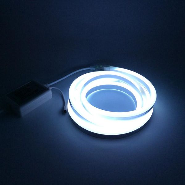 

220v led rgb neon lamp strip light 80 led/m with 24 key ir remote controler 16 colors changing eu power plug strips