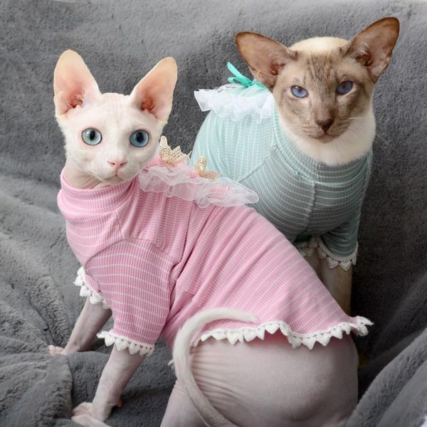 

cat costumes clothes spring and summer thin section kitten cute pet base coat anti-hair loss comfortable breathable style