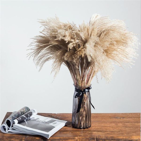 

decorative flowers & wreaths pampas grass christmas decor real 20 pcs reed natural dried plant ornaments wedding flower bunchno vase