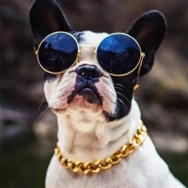 

cat collars & leads cuban link thick chunk chain necklace dog safety collar pets jewelry pet products bv789
