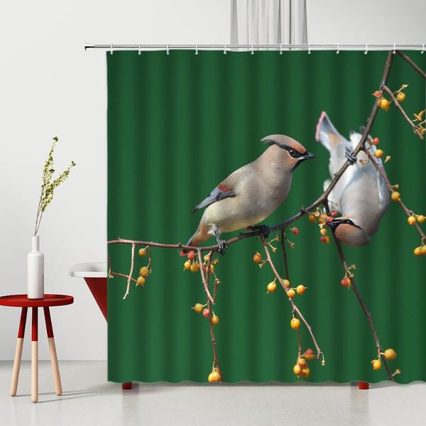 

shower curtains animal curtain set bird in rooms and halls modern bedroom bathroom decoration