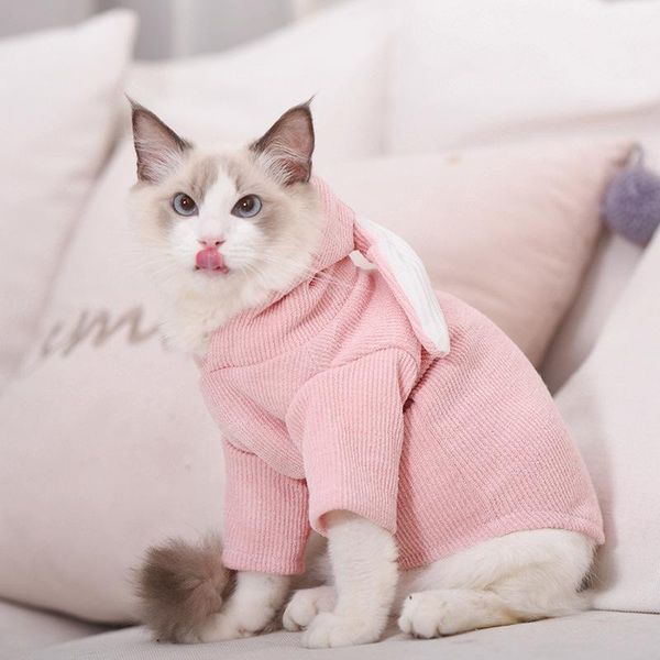 

cat costumes pet clothing for all seasons dog cute cosplay two feet and undergarments