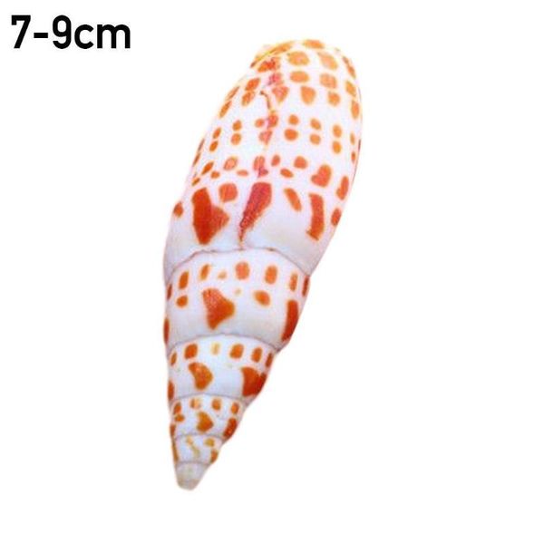 

novelty items natural orange conch shell pen snail household aquarium landscaping 7-9cm pencil decoration j4w3