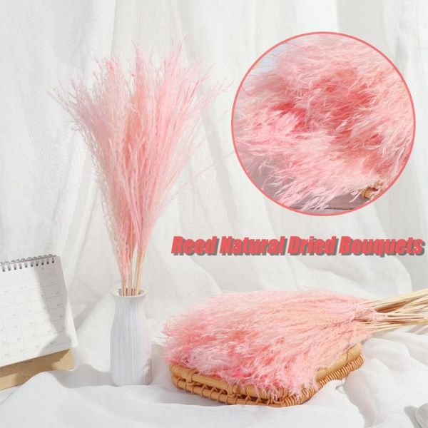 

decorative flowers & wreaths diy craft wedding decor home decoration shooting props pampas grass real flower plant stems reed natural dried