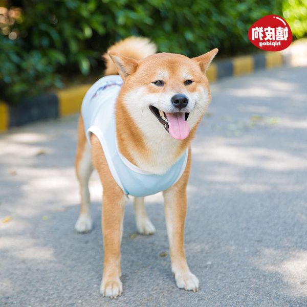 

the dog clothes spring thin fashion brand medium and large pet golden summer dog vest clothing