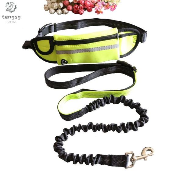 

dog running rope waterproof traction pockets small and medium-sized leash multifunctional outdoor sports collars & leashes