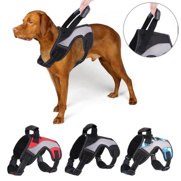 

dog collars & leashes harness walking pet vest with handle no pulling reflective padded collar dogs outdoor and supplies for cats