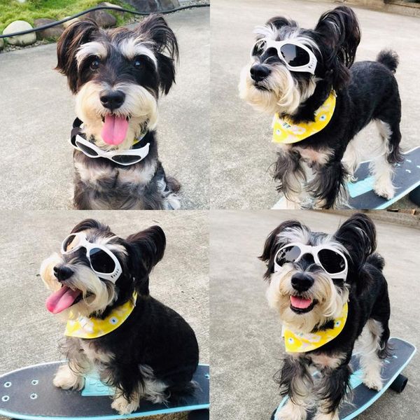 

pet dog sunglasses products foldable puppy eye glasses for small medium dogs cats po props apparel