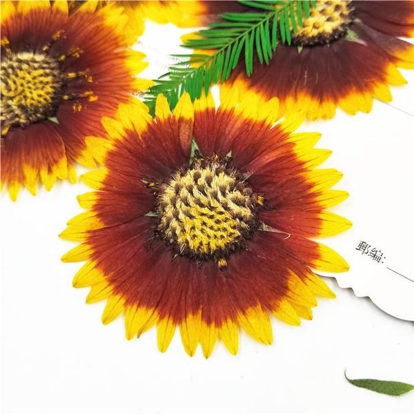 

decorative flowers & wreaths 5-8cm/3pcs,nature color pressed hupi chrysanthemum flowers,real touch flower petals diy craft gift card,flores