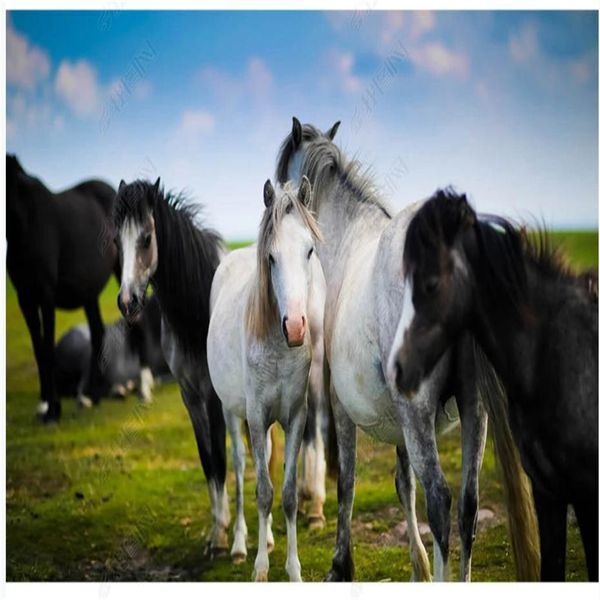 

p wallpaper for walls horse wallpapers 3d murals wallpaper for living room