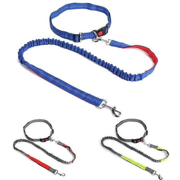

dog collars & leashes hands leash, retractable running elastic bungee belt,jogging lead with waist belt