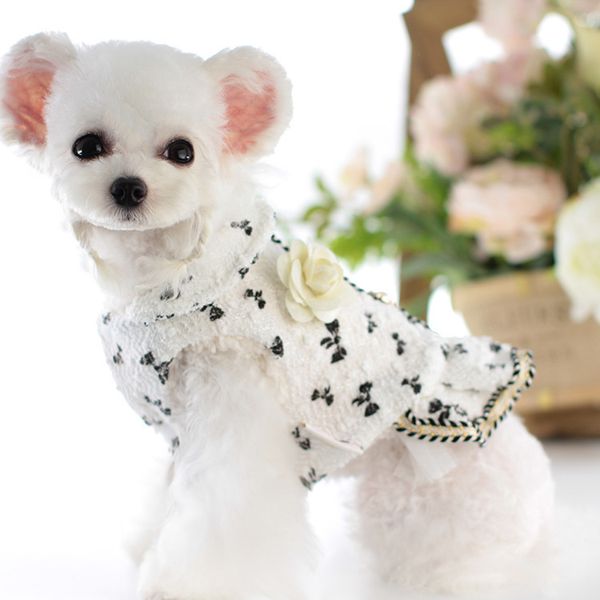 

lollypop lollipop 21 year pet cloth autumn and winter dog fragrant lace skirt