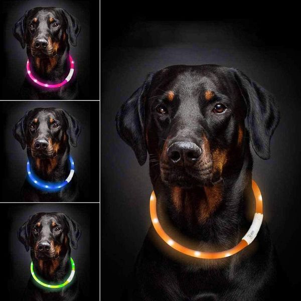 

dog collars & leashes led collar usb rechargeable glowing adjustable luminous pet waterproof safety lights for small medium large dogs