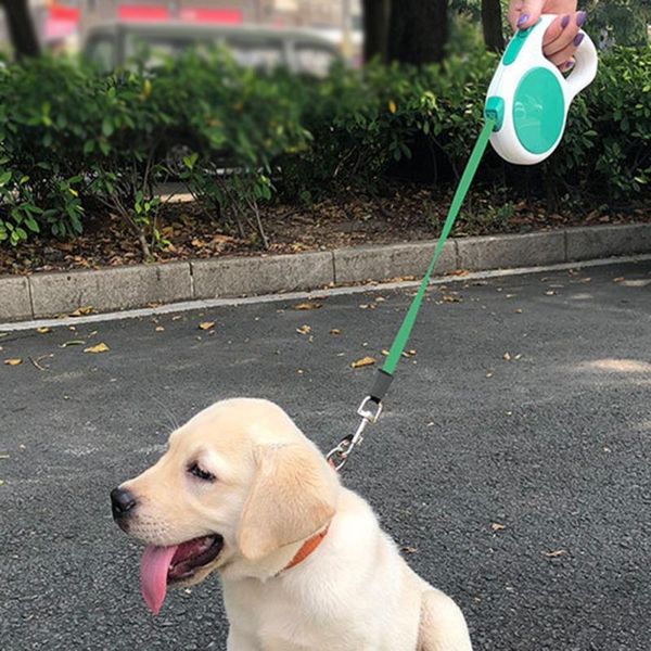 

dog collars & leashes pet high-density strong webbing traction rope ergonomic design handle comfortable non-slip supplies