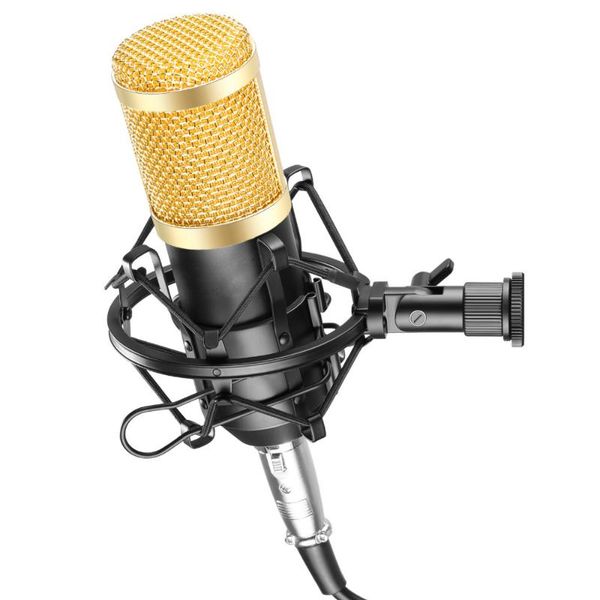 

studio vocal microphone cardioid condenser mic computer recording live broadcast streaming and voiceover dual-diaphragm microphones