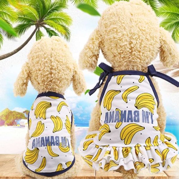 

the dog clothes cat and lovers' summer light pet dress banana print vip teddy dog skirt t-shirt