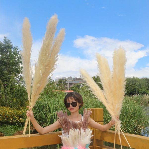 

large pampas grass bouquet wedding dried flower home decoration cristmass eternelle 80cm 5pcs flores preservadas nature reed