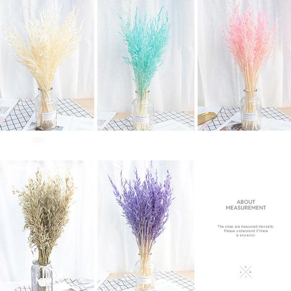 

dried natural plant oats branch,real dry eternal ears of wheat flower bouquet for home room decor,wedding decoration decorative flowers & wr