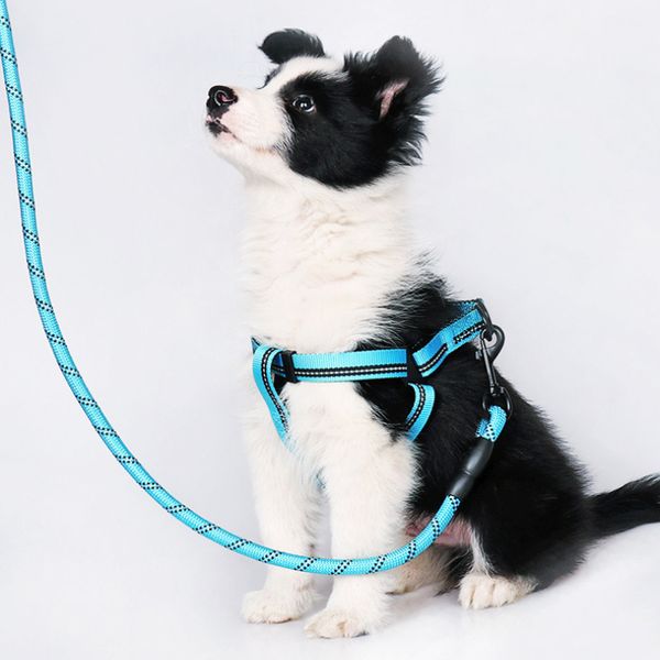 

5 colors nylon reflective hauling cable braided pet leashes round dog training running leash for sale