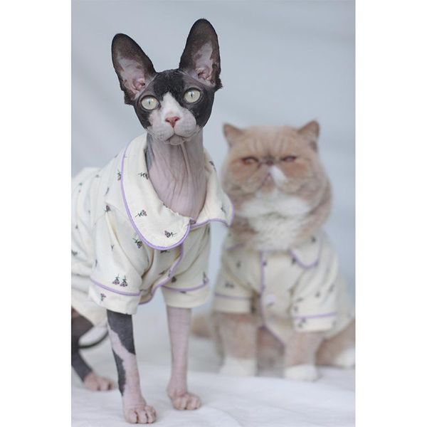 

cat costumes pet clothes shirt hairless small dog tracksuit pajamas style sweater