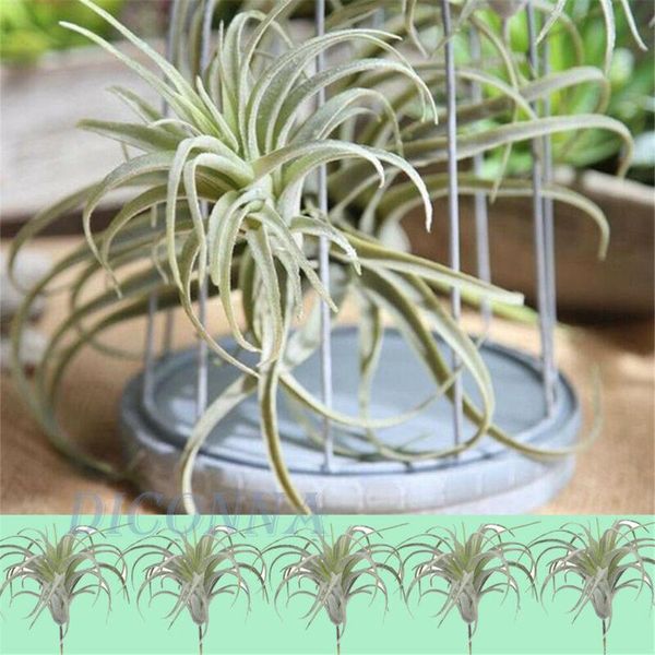 

decorative flowers & wreaths artificial pineapple grass air plant fake flower for home garden wall decors creative decor