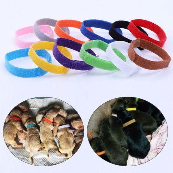 

dog collars & leashes low price 12 colors identification id whelp puppy kitten pet cat velvet practical collar lzc6003