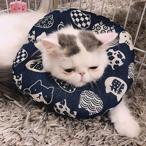 

cat collars & leads elizabethan circle adjustable soft mixed cotton cute flower print pet protection collar
