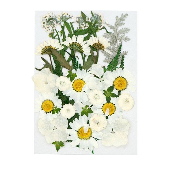 

real dried presse flowers leaves natural set with butterfly stickers candle make-up floral decor collection gift stickes 2021 decorative & w