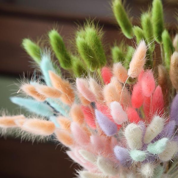 

dried flowers artificial plant branches colorful ins pampas grass fake wedding home decoration flower arrangement decorative & wreaths