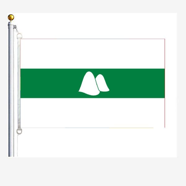 

kurgan oblast flags 90 x 150 cm, 100 % polyester, digitaldruck