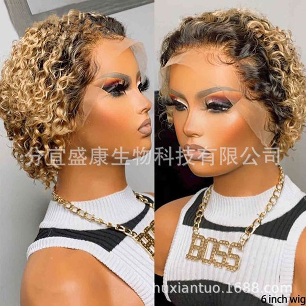 

women's dyed small curly hair is ffy and natural without lace net wig cover, Black