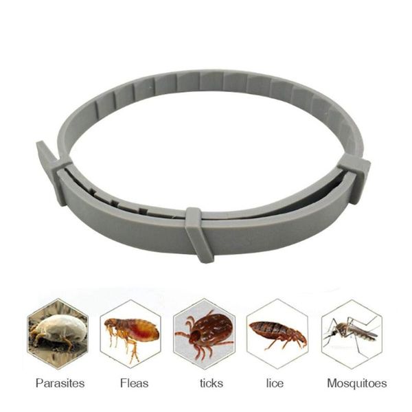 

cat collars & leads tick collar for dog flea anti natural safe efficiently repell locust lice of pets suppliers