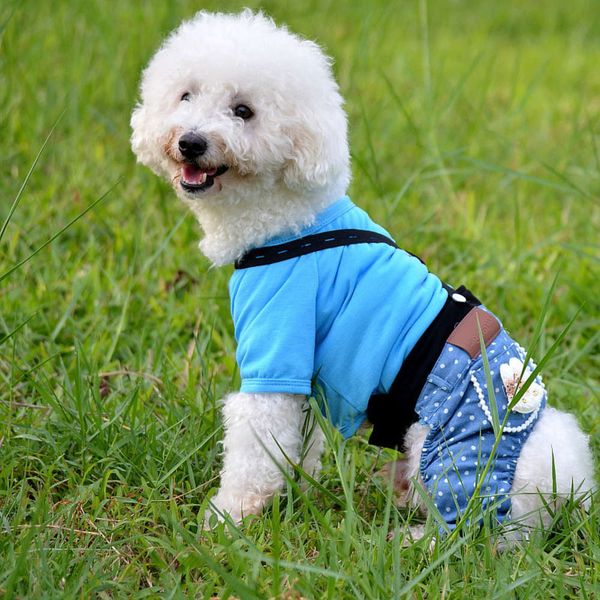 

the dog clothes bear vest dog pet spring and summer clothing