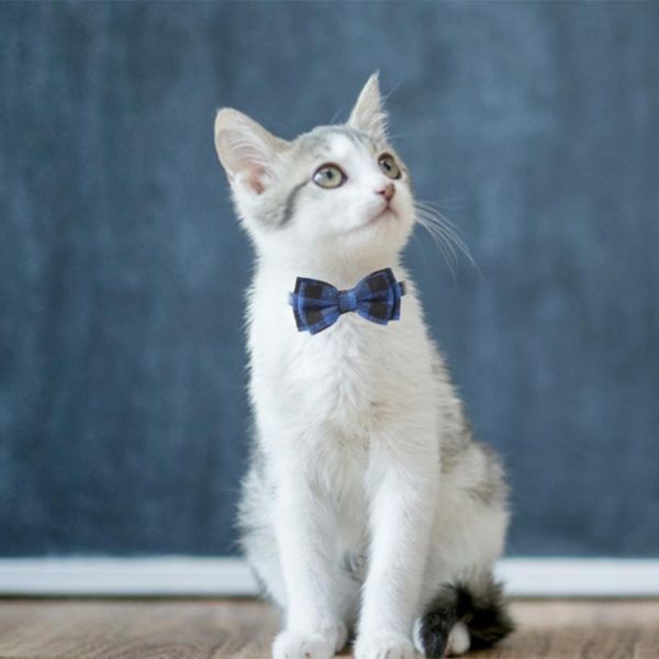 

cat collars & leads collar with bell cloth wear-resistant cute bowknot plaid necklace safety adjustable for kittens pet products