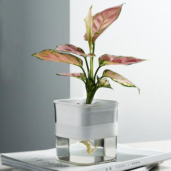 

plastic hydroponic boxes creative flower pot basin for plants self watering device flowers water feeder garden tool planters & pots