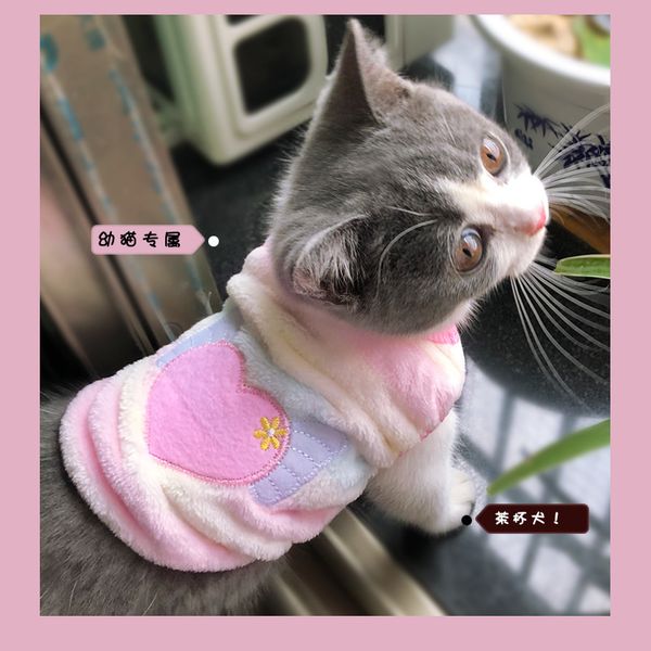 

kitten cloth british short be cat hair proof kitten baby milk bomei tea cup small dog autumn and winter pet products