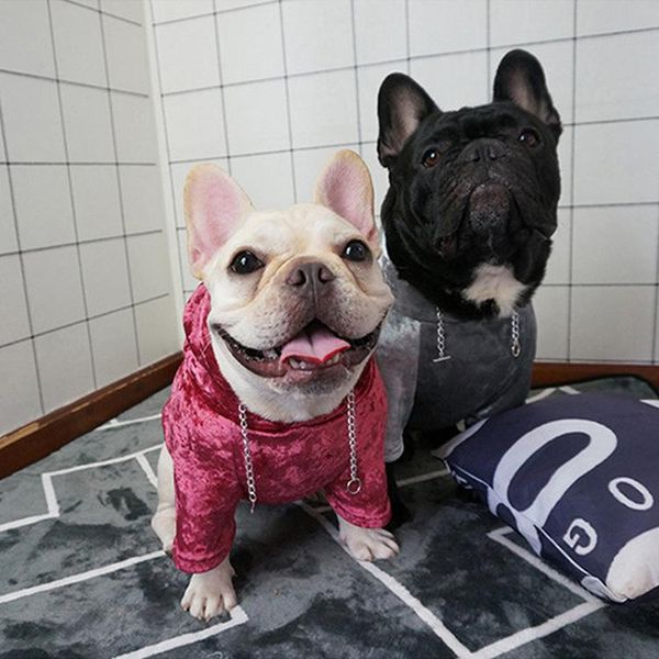 

dog apparel pet clothes pug small and medium-sized fleece sweater autumn winter roupa cachorro ropa de perros mascotas