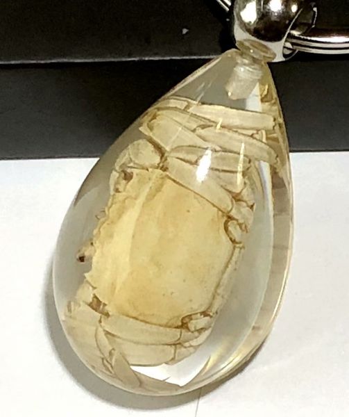 

10 pcs keychain real crab lucid ice drop design key ring, Slivery;golden