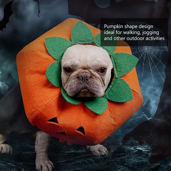 

dog apparel halloween collar funky pet costumes suit pumpkin clothes for